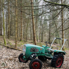 Artgerechte Haltung: Güldner Spessart im Spessart