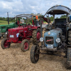 Bulldogtreffen Ermreus 2024 (8)