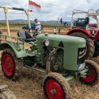 Bulldogtreffen Ermreus 2024 (37)