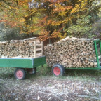Brennholz fertig zum Abtransport